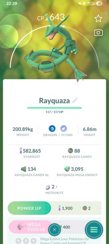 Rayquaza pokemon lv15 grande - pokemon,