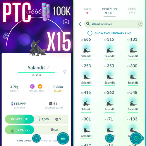 Salandit femmina x15 mini - salandit,